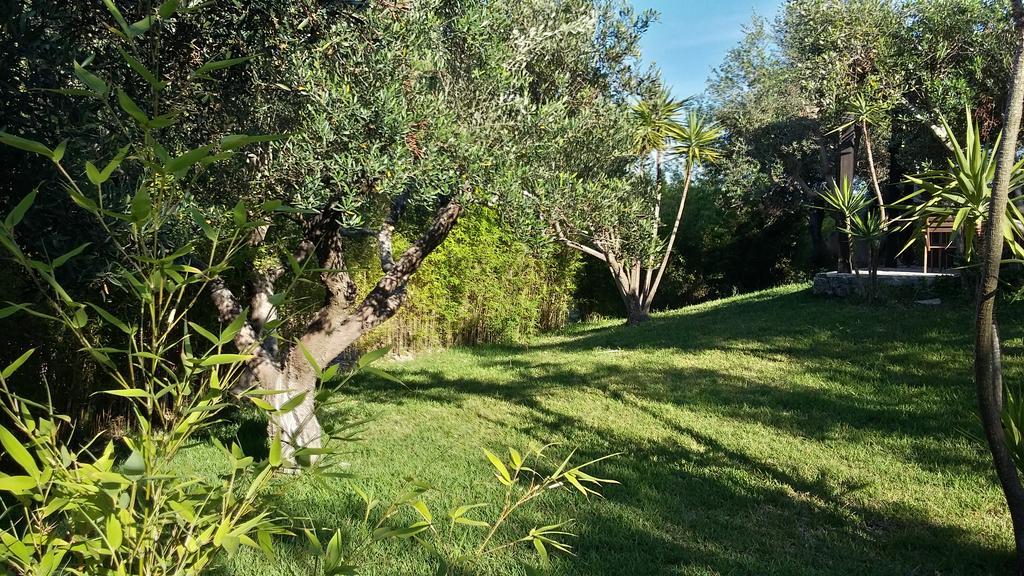 Tenuta Terenzano Torre San Giovanni Extérieur photo