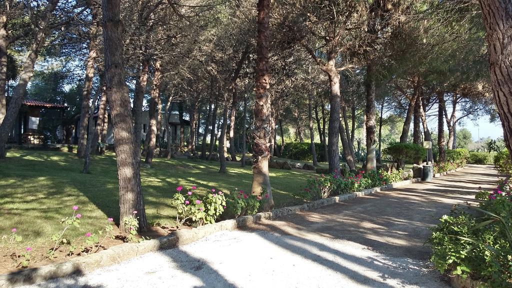 Tenuta Terenzano Torre San Giovanni Extérieur photo