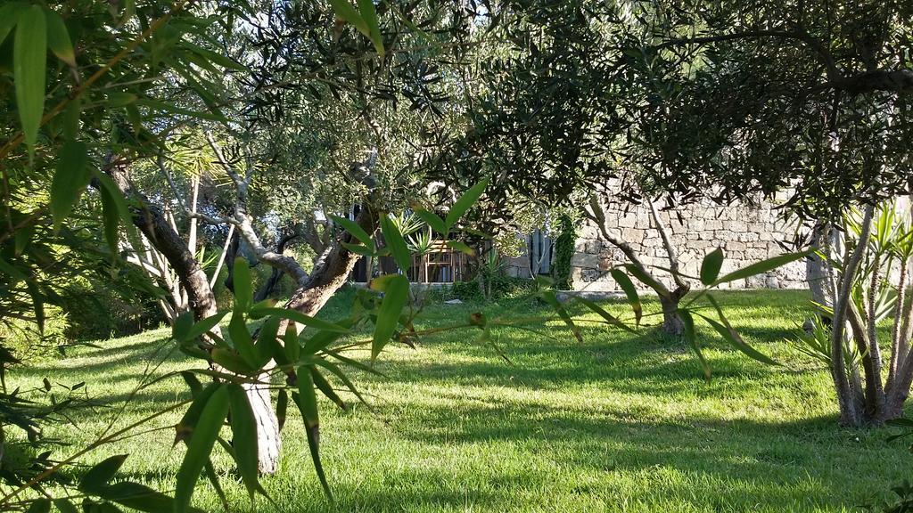 Tenuta Terenzano Torre San Giovanni Extérieur photo