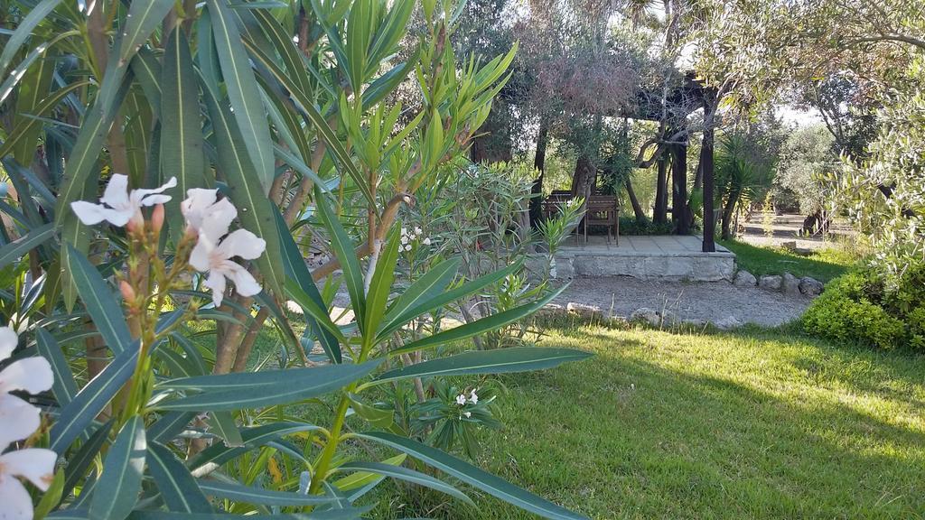 Tenuta Terenzano Torre San Giovanni Extérieur photo