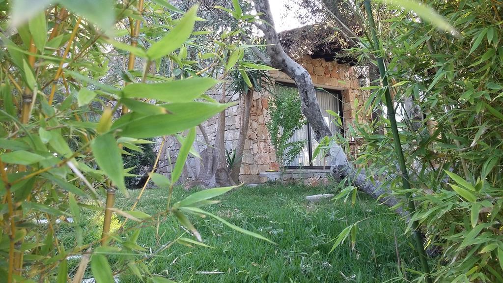 Tenuta Terenzano Torre San Giovanni Extérieur photo