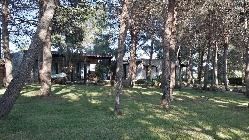 Tenuta Terenzano Torre San Giovanni Extérieur photo